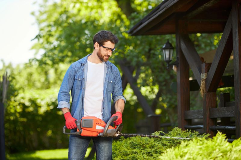 Professional male gardener in protective glasses shaping dense hedges with electric loppers on backyard. Front view of guy in shirt pruning shrub with trimmer at sunny day. Concept of hobby, work.