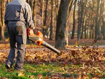 Person using a leaf blower to clear fallen leaves in a park.