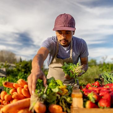 picking fresh fruit and vegetables