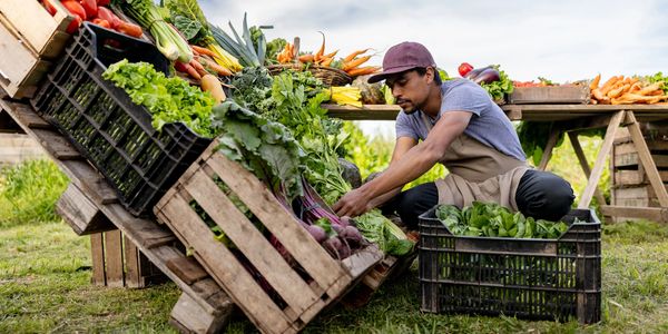 A man arranging fresh vegetables at an outdoor market.