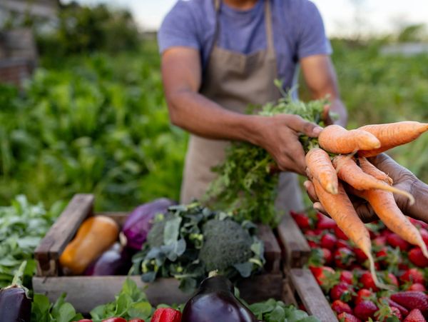 Person handing fresh carrots at a market stall.