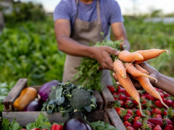 Person handing fresh carrots at an outdoor market stall.