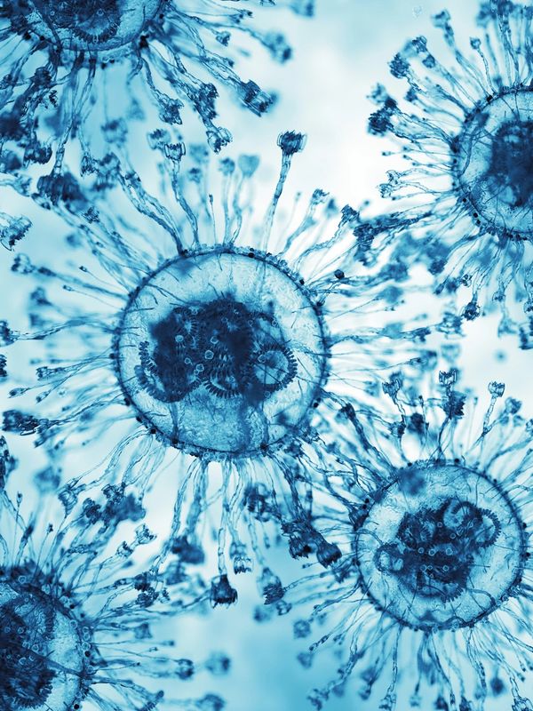 A picture under microscope