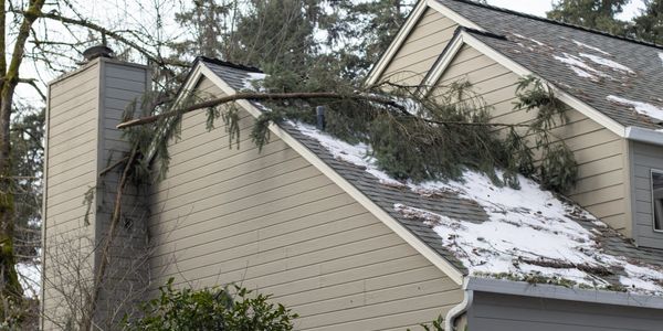 Damaged home roof shingle from storm and tree branch photo