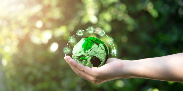 Eco-friendly Junk Removal Services 
Charlotte North Carolina 