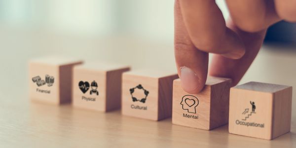 代表五种健康维度的木块。