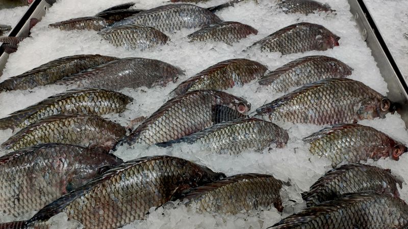 Fresh bright-eyed fish sprinkled with ice from the sea of ​​Thailand sold in a Bangkok supermarket.