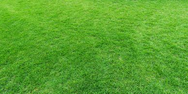 landscaping, mulch, landscaper near me, hardscaping, fall clean up, spring clean up, fence install