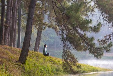 Meditation Retreat