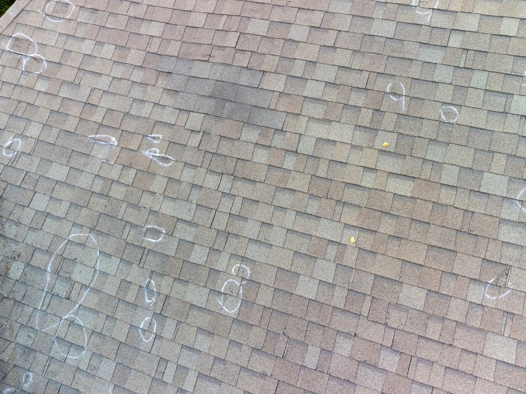 hail damage to a shingle roof in charlotte, nc 