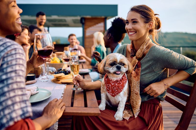 Happy woman with dog in her lap drinking wine and communicating with friends on a patio.