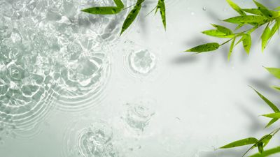 Functional Medicine