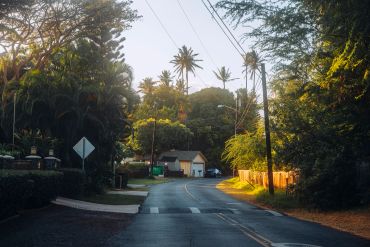 Sunny suburban street lined with trees and houses.