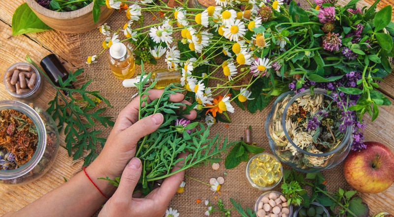 Medicinal herbs and flowers in hands. Selective focus. nature.