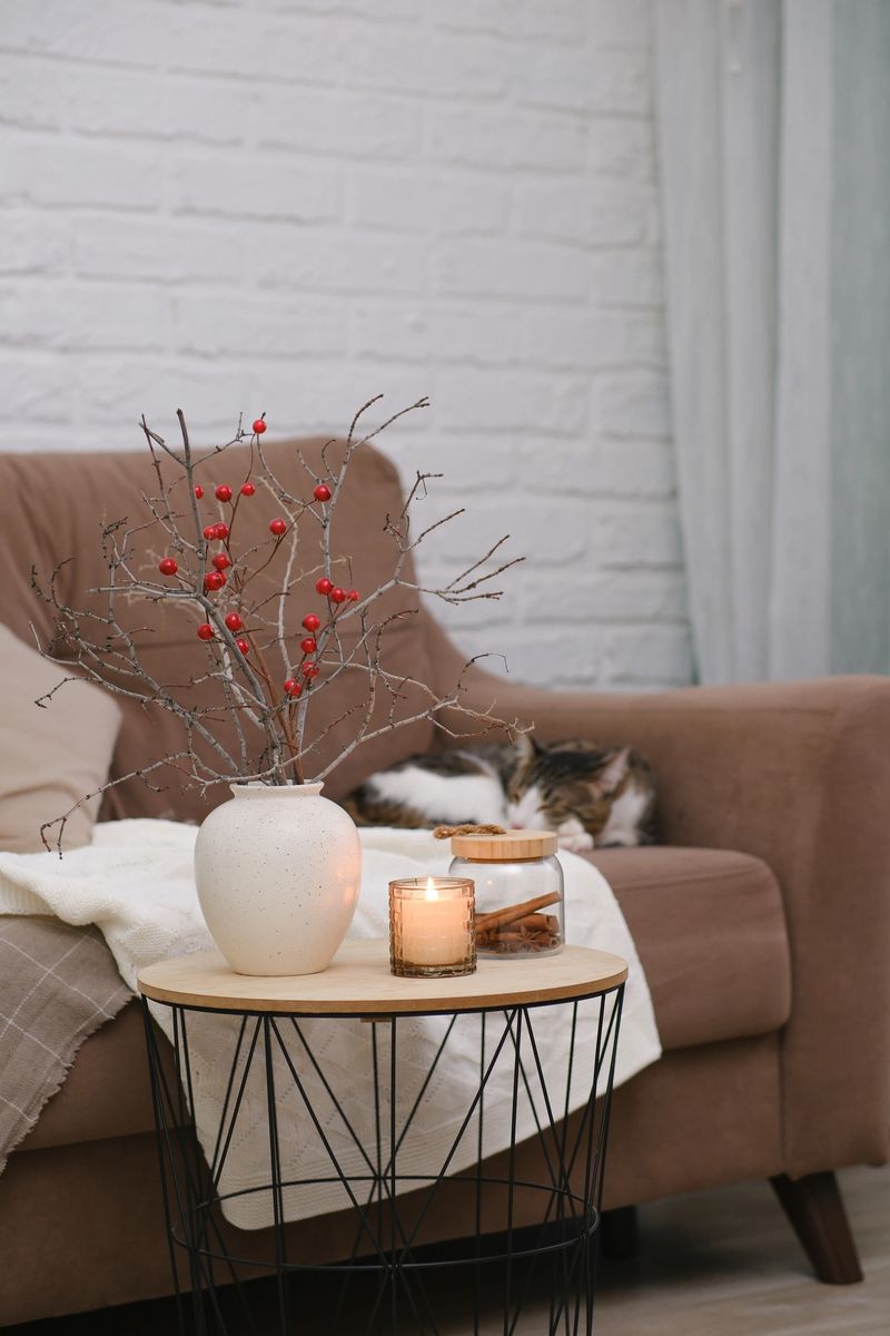 Animal at home. Pet cat is lying on sofa in cosy living room. Ceramic vase with spring branches, burning candle on coffee table. High quality photo