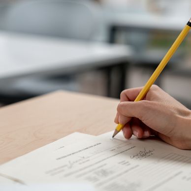 Teaching training services in Devon for EAL and Romanian pupils in education settings