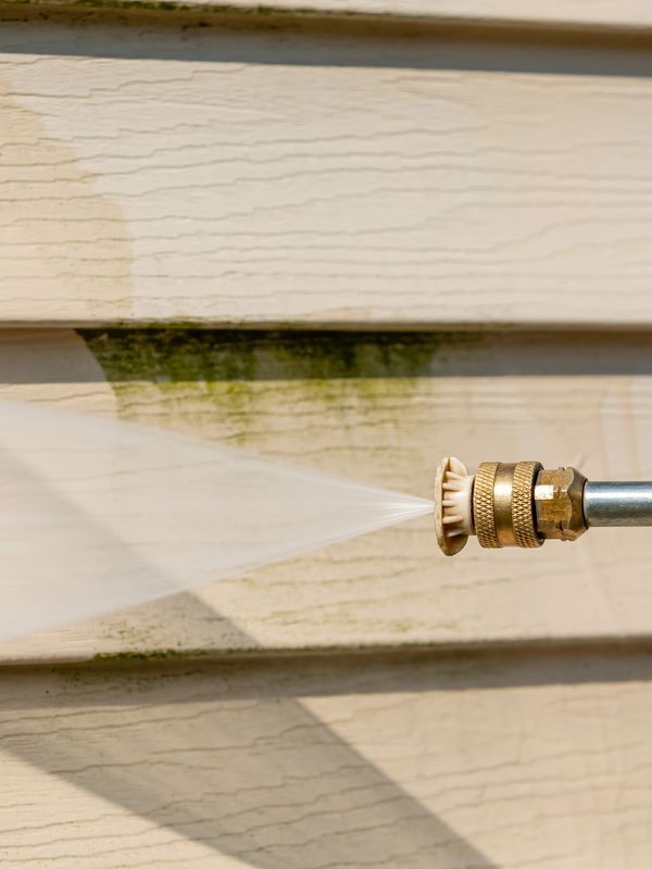 Soft washing a house, removing alge. 