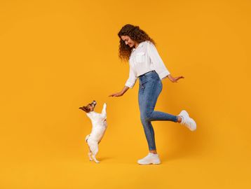 Dog dances kennel technician love music activities 