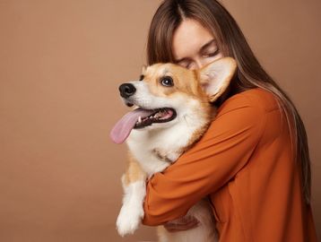 Dog snuggles Corgi hugs kennel technician love 