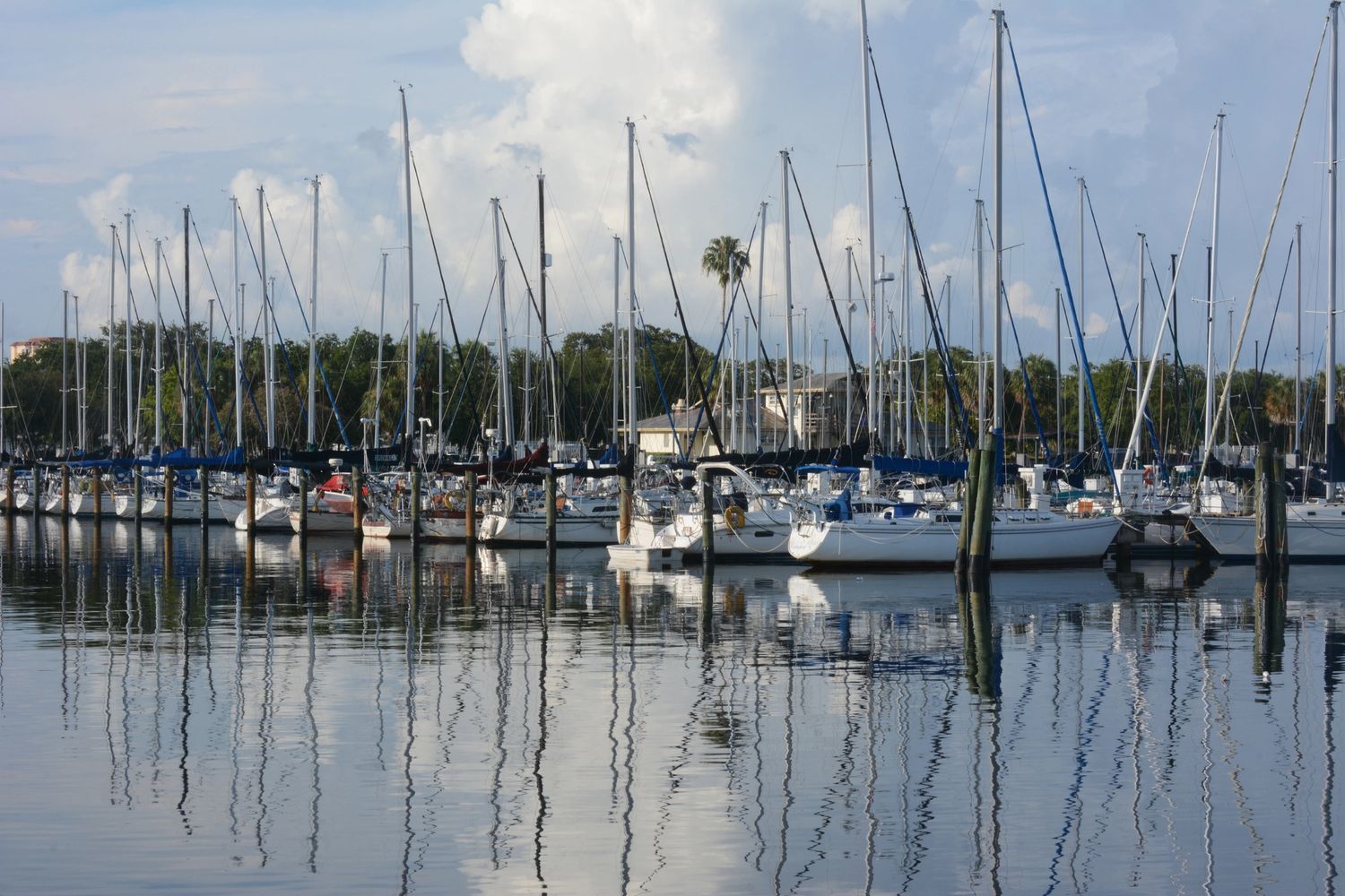 Dynamic hydrofoil sailboat splashing through the ocean.

