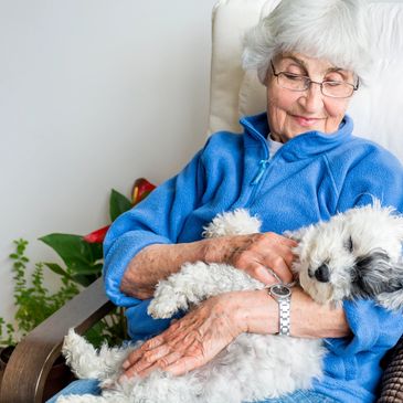 senior assisted living, home care, come to you