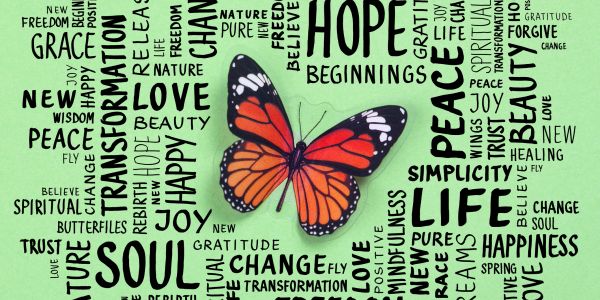 Orange butterfly on green background with positive words.