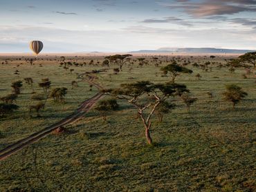 Wildlife Safari with Yao Tanzania Safaris