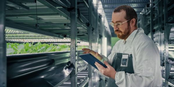 utilazando tecnologia en sistemas acuaponica