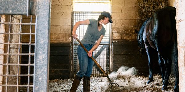 Girl mucking out a stable