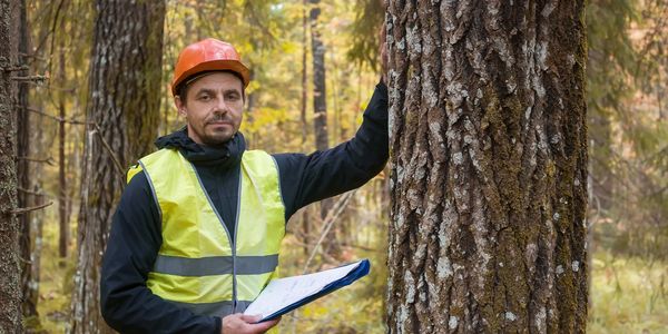 Arborist standing next to tree with PPE and a notepad