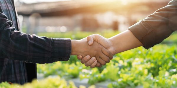 Two people shaking hands outdoors in a garden.