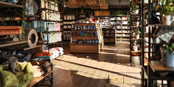 Bright and cozy pet store interior with pet supplies.