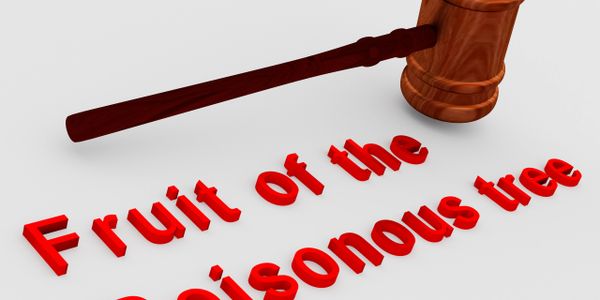 Wooden gavel above red text saying 'Fruit of the Poisonous tree'.