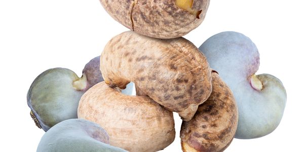 Raw cashew nuts with shells and kernels isolated on white.