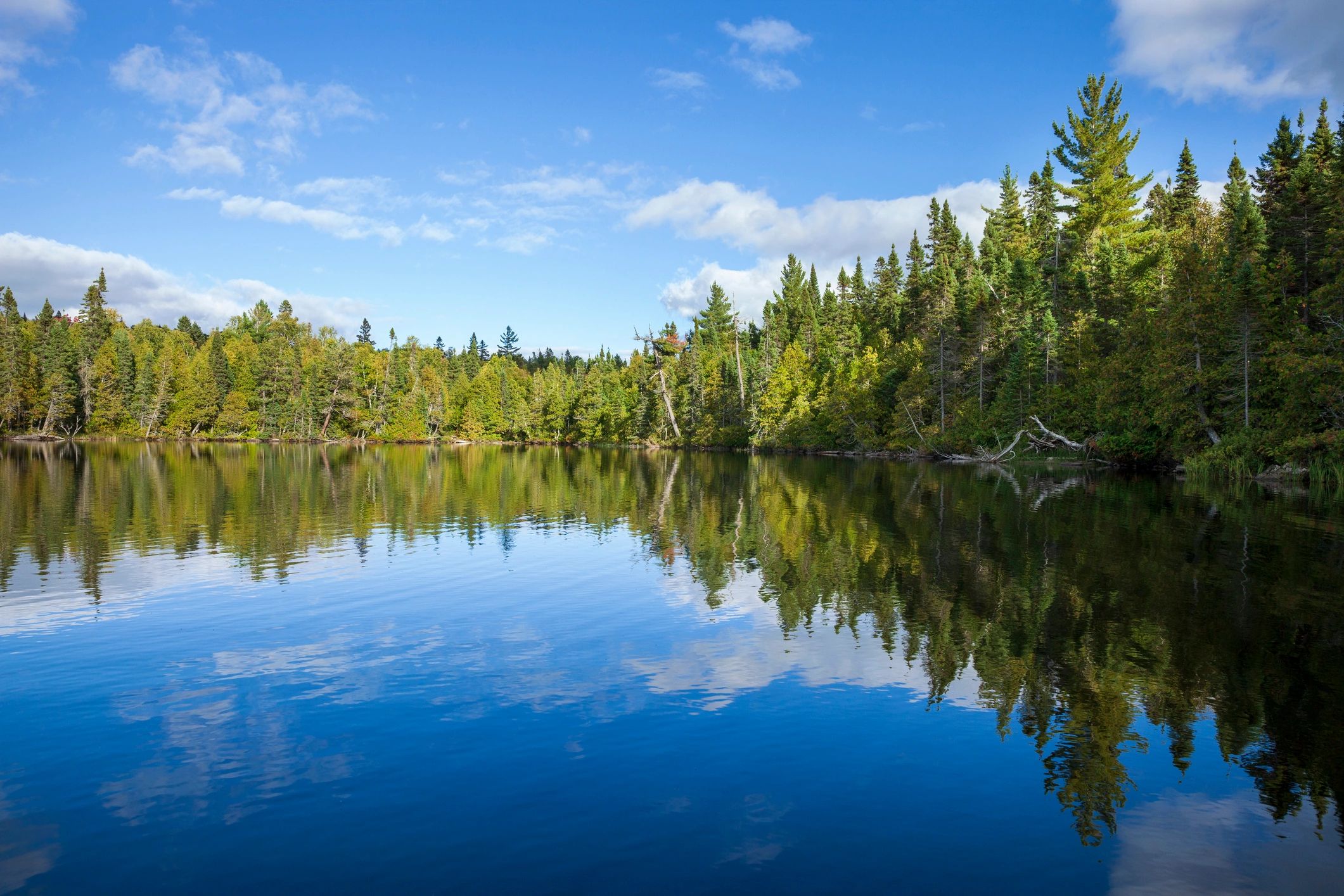 Speech Therapy Teens And Adults Active Speech