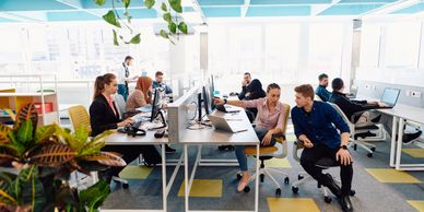Diverse team collaborating in a bright modern office space with computers and plants.