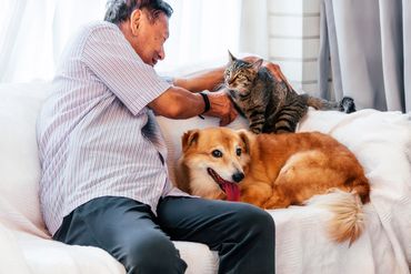 Pet parent bonding with their dog and cat at home with safe wellness solutions.