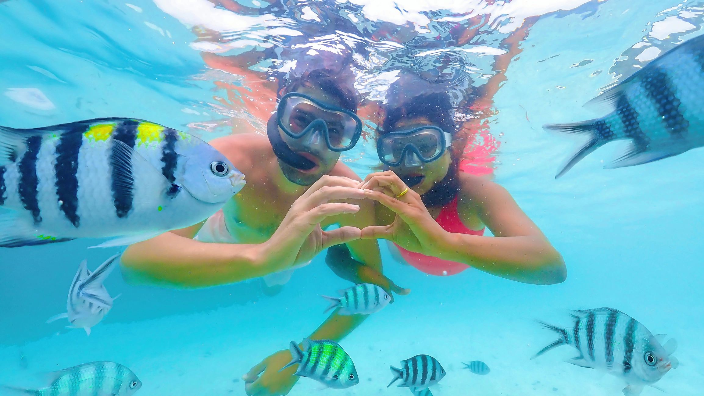 Explore Snorkeling in Marathon, Florida