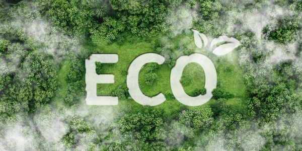 Aerial view of a forest with the word 'ECO' shaped in the greenery.