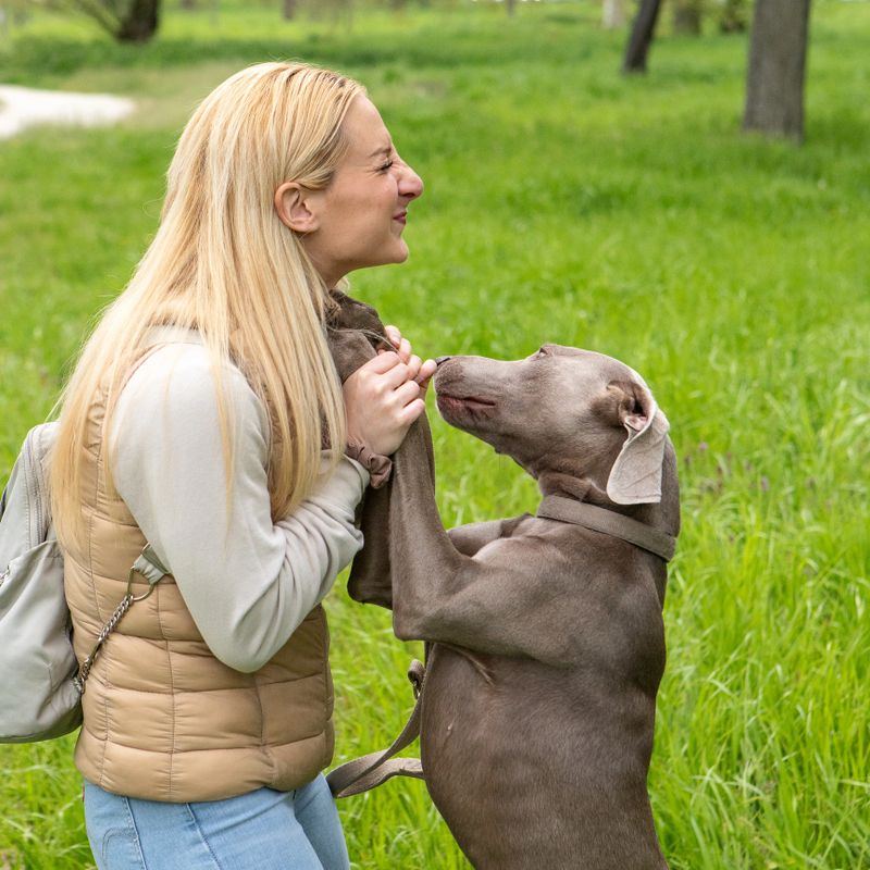 A blonde woman shares a joyful moment with her Weimaraner dog, who stands on hind legs to nuzzle her face, amidst the vibrant greenery of a peaceful park