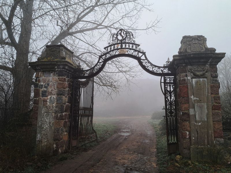 Eerie abandoned house shrouded in mist, perfect for paranormal exploration.