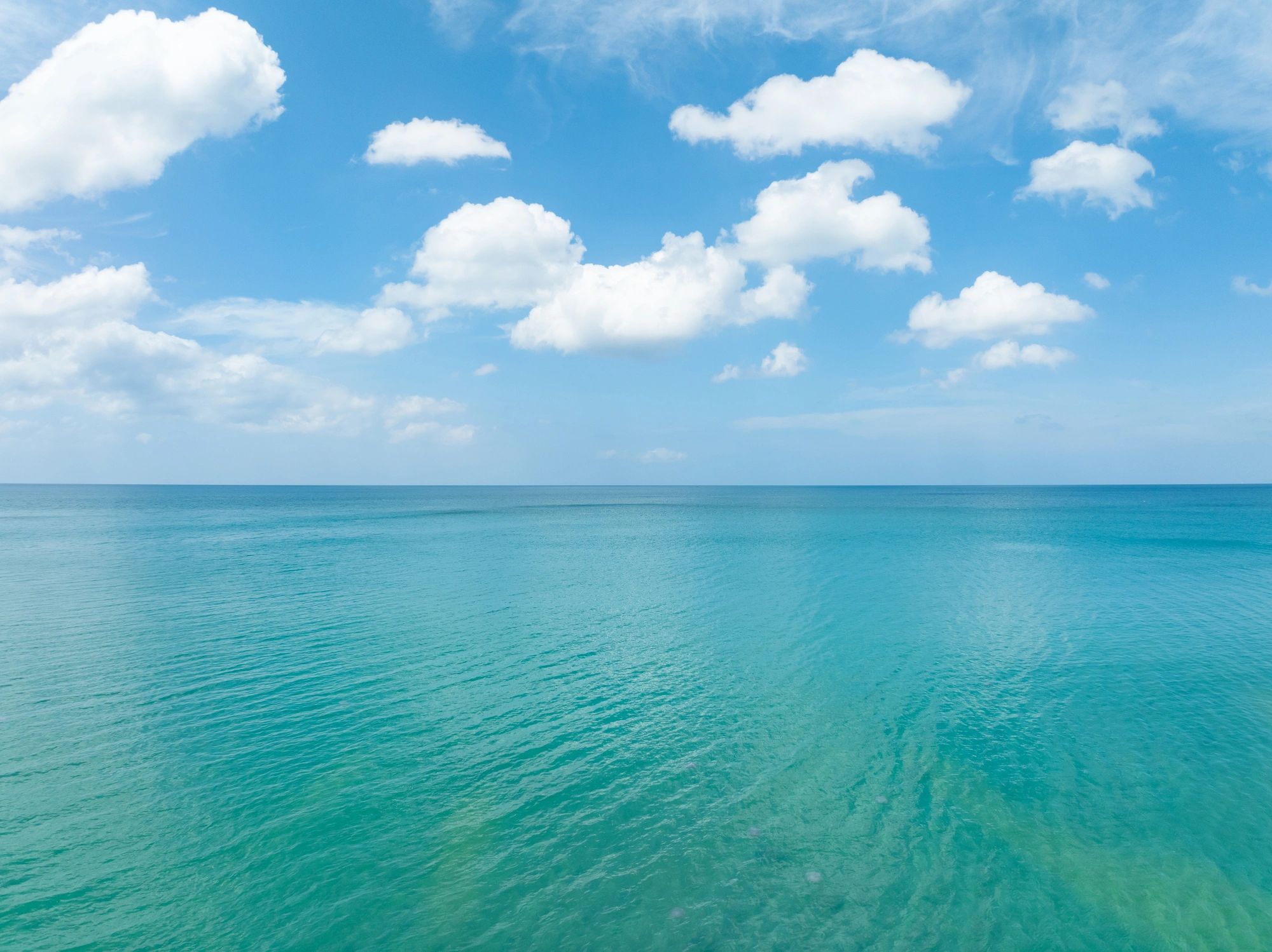 Lisa Rundle - Psychotherapy and Counselling