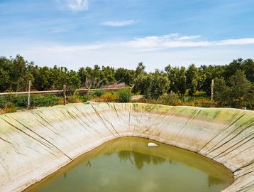 Empty water reservoir with green liquid and trees in the background.