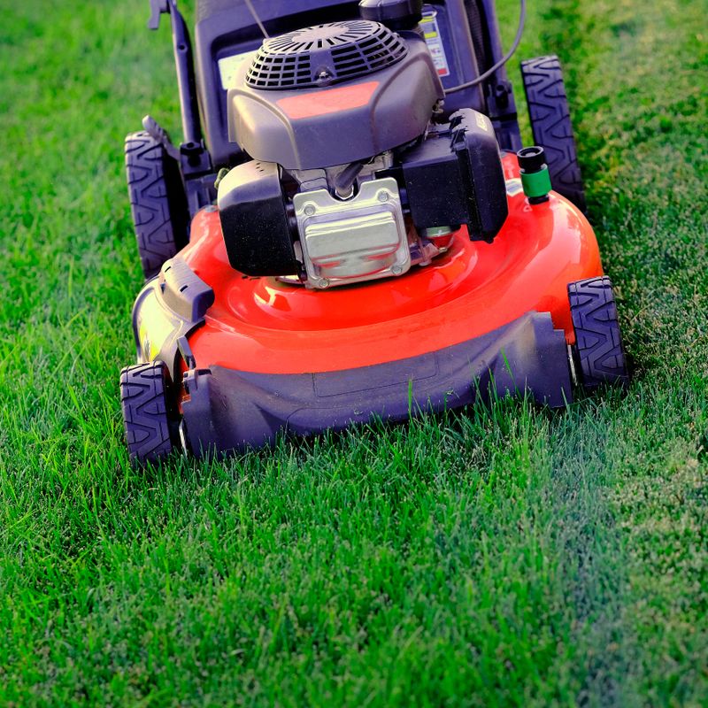 Red lawn mower in lush green grass mowing lawn cutting