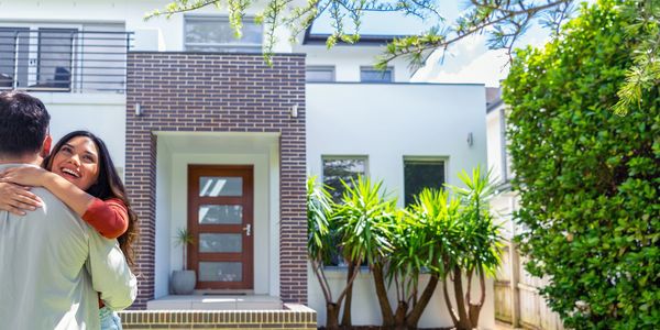 Friendly penguins helping with real estate