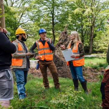 Four construction workers discussing plans outdoors in a green area.