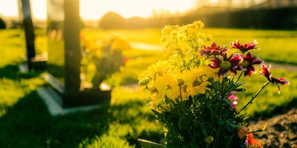 Galactic Astrology, Weddings, Death Doula Exorcists, Land Clearings for Peaceful passing