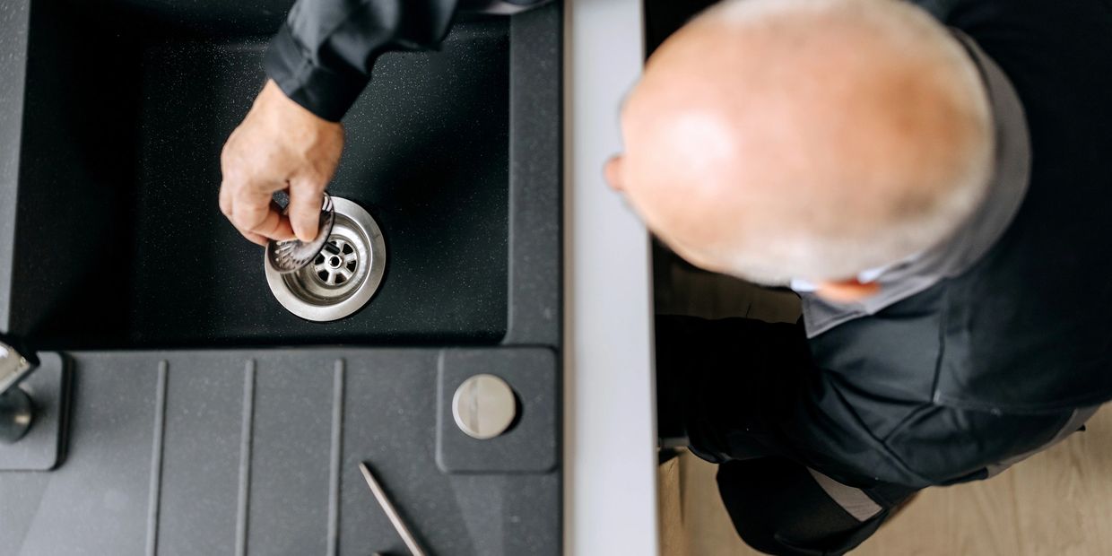 Minimalist white kitchen countertop with a double sink and potted plant.