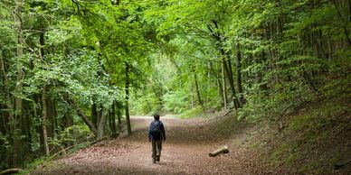 Person hiking alone on a forest trail surrounded by green trees.