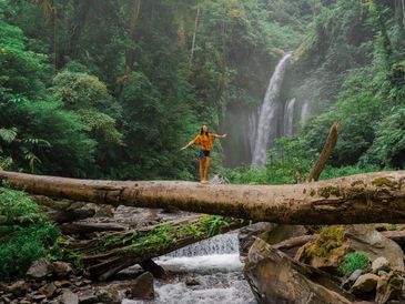 A vibrant blue waterfall surrounded by lush greenery.